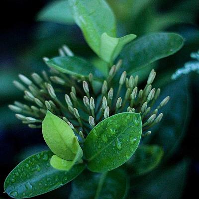 Cargador HP 65W 19.5V 3.33A 4.5*3.0mm